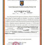 IGSU-STINGERE-PROIECTARE-ROLUMIAL-EXPERTS